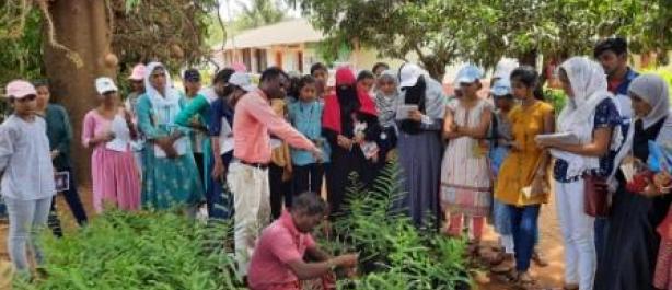 Visited to Regional Fruit Research Station, Vengurla on 28 April, 2023